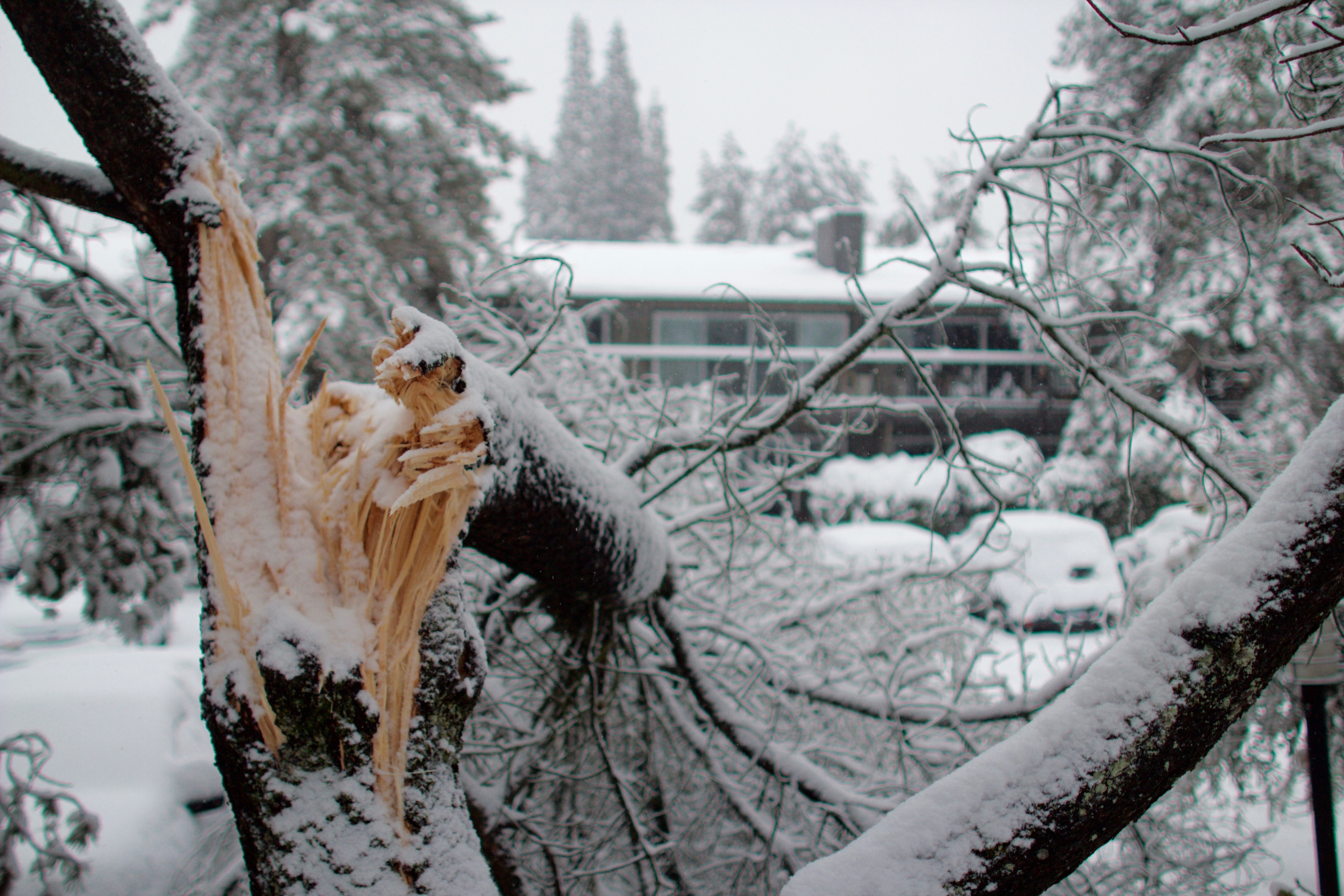 Greater Nashville Home Watch Winter Storm Services